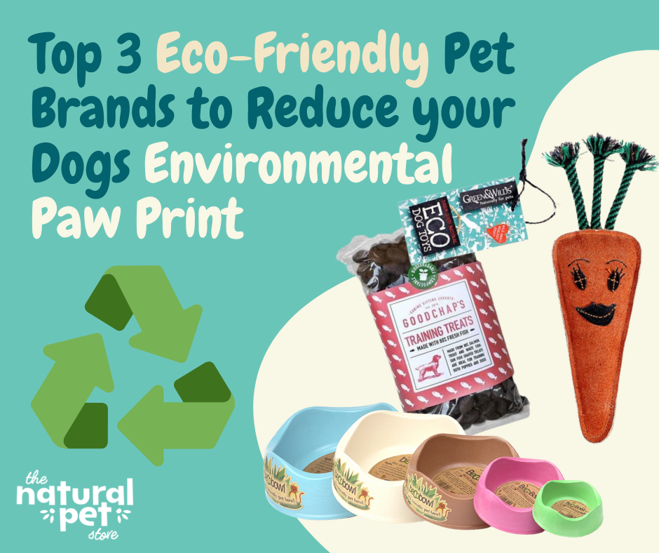 Top 3 EcoFriendly Pet Brands to Reduce your Dogs Environmental Paw Pr
