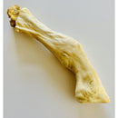 The Pet Bistro - Lamb Trotter (Single)