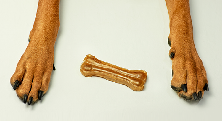 Why You Should Say No to Rawhide