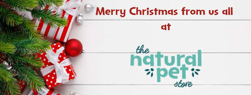 Christmas time at the Natural Pet Store