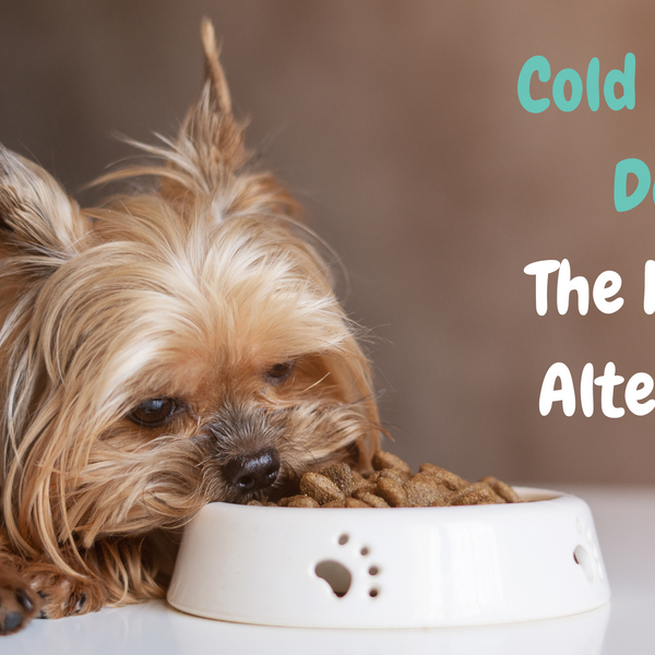 Cold Pressed Dog Food The Healthier Alternative