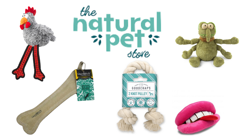 The Importance of toys in your dogs and puppies lives