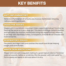 Logan's Natural Treats - Slippery Elm Bark Pet Supplement 100g