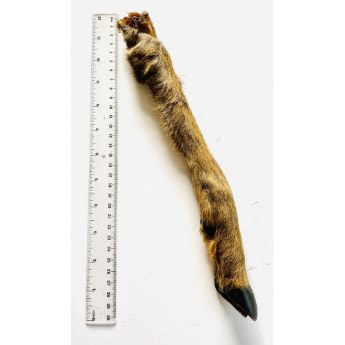 Anco Hairy Deer Leg