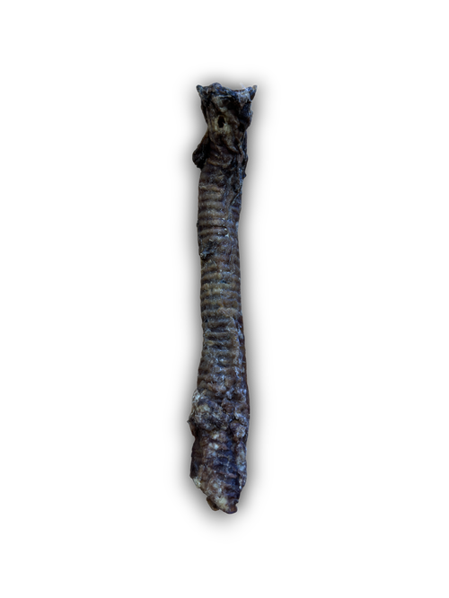 Anco Naturals Goat Tube (Loose)