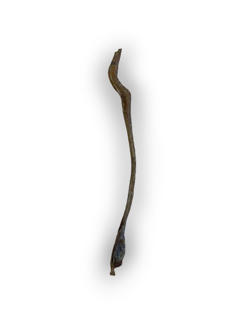 Anco Naturals Goat Pizzle 1pc