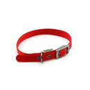 Great & Small Classic Buckle Dog Collar Black