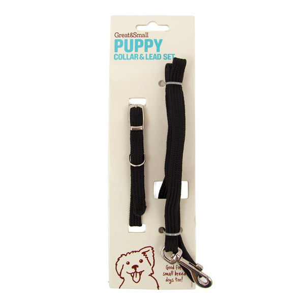 Great & Small Puppy Collar & Lead