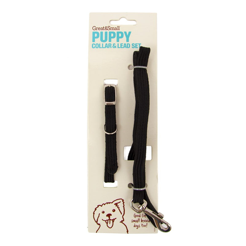 Great & Small Puppy Collar & Lead