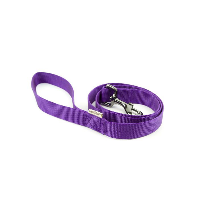 Great & Small Nylon Lead