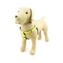 Great & Small Glow Hi-Vis Harness Yellow