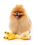 Fuzzyard - Neckoholas The Giraffe Dog Toy