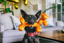 P.L.A.Y - Party Animal - Balloon Dog Buddy Dog Toy
