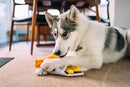 P.L.A.Y.  - Classic Chippy Chews - Fish n Chips Dog Toy