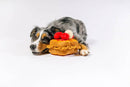 Thick 'N Fluffy French Toast Dog Toy By P.L.A.Y
