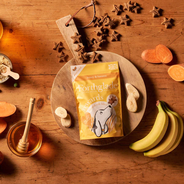 Forthglade Rewards Soft Bites Banana & Honey Dog Treats 90g