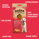 Soopa - Cranberry & Sweet Potato Jumbo Dental Stick 170g