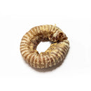 The Pet Bistro - Beef Trachea Ring Dog Treat