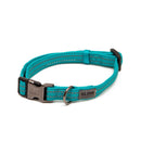Great & Small Glow Collar Turquoise