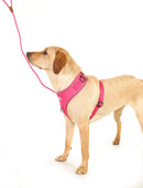 Doodlebone Dog Rope Lead
