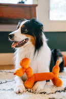 P.L.A.Y - Party Animal - Balloon Dog Buddy Dog Toy