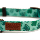 Great & Small Penrose Palm Leaf Green Collar