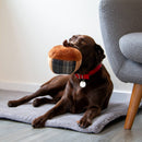 Ancol - Annie Acorn Dog Toy