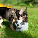 Ancol Tartan Badger Dog Toy