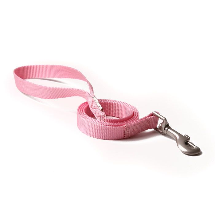Great & Small Nylon Lead