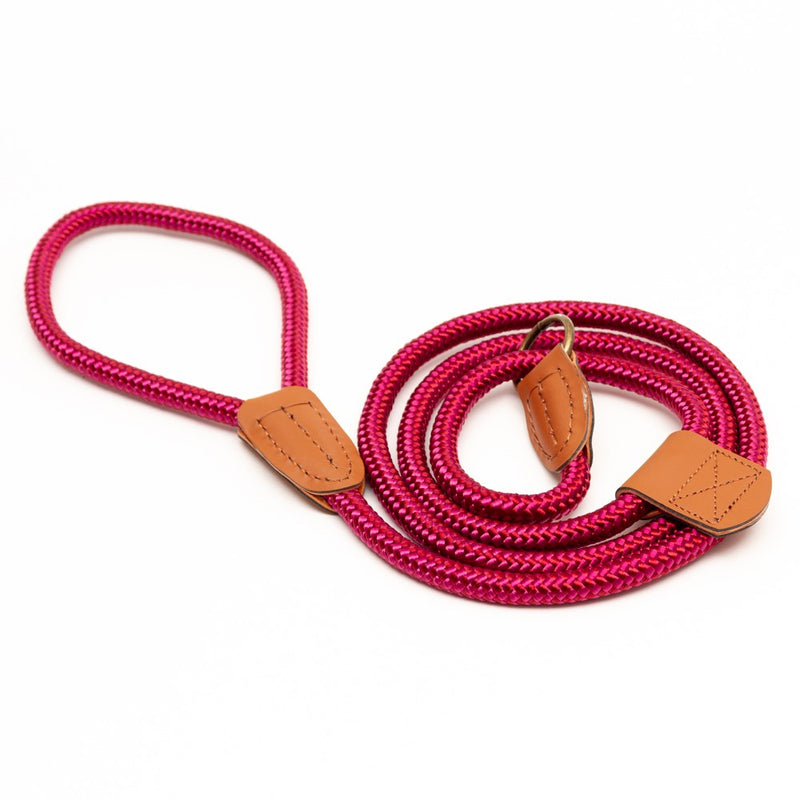 Great & Small Country Rope Slip Lead