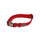 Great & Small Glow Collar Red