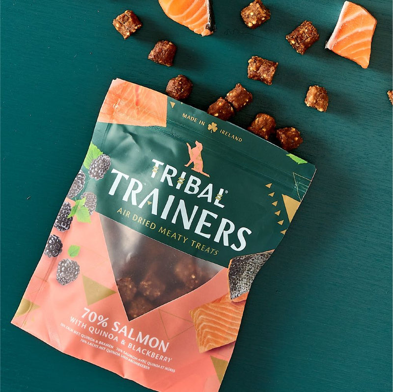 Tribal Trainers Salmon & Blackberry Dog Treats 80g