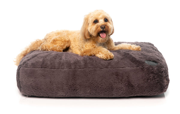 Nanook Dog Bed