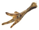 Anco Naturals Chicken Feet 100g