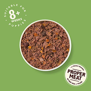 Lily s Kitchen Puppy Recipe With Turkey Duck and Kale Wet Dog Food 1