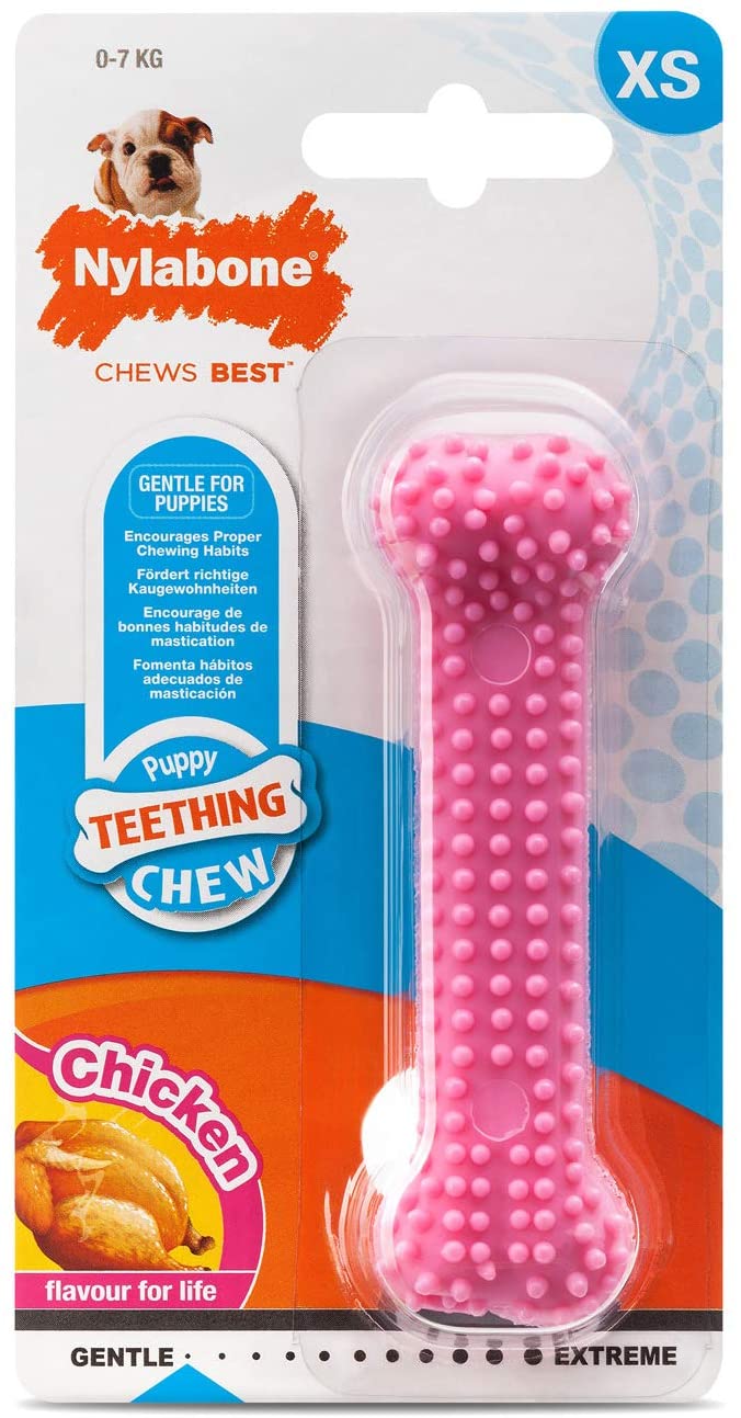 Nylabone Puppy Teething Dental Chew - Chicken