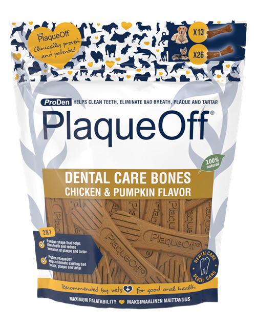 Chicken Pumpkin Bones 5cb9929c 0b11 4dd9 bac1 eb9e97e52c6e 500x