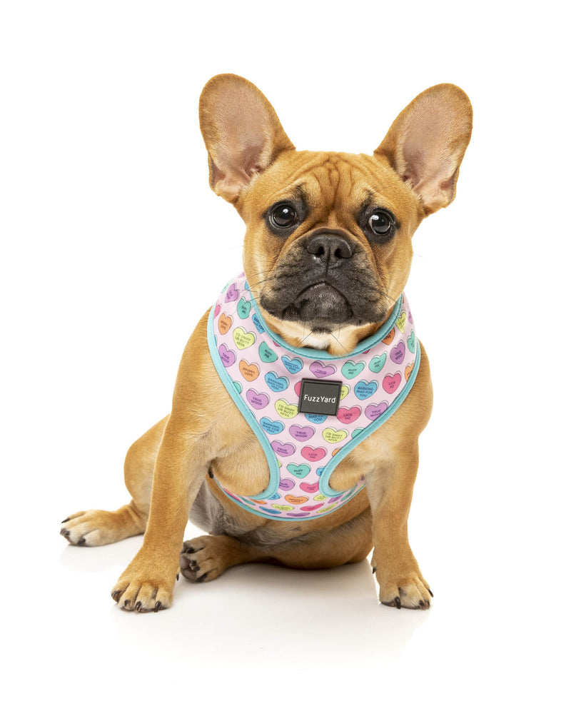 FZH357 61 Harness CandyHearts Dog01 2000x