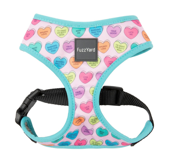 FZH357 61 Harness CandyHearts Front 2000x