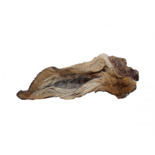 Hairy Deer Ears Single 500x500 1