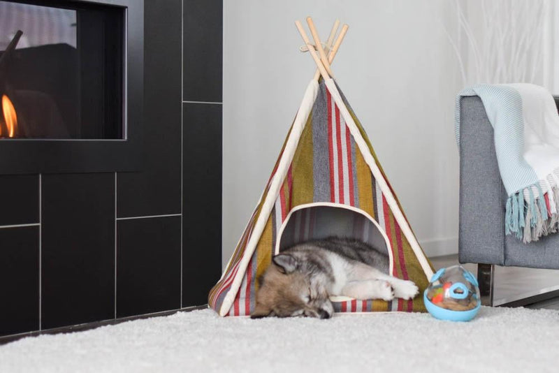 HorizonPetTeepee High Res PuppyCrashedOut 2000x