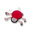 SPIDER DIMS 703076 500x