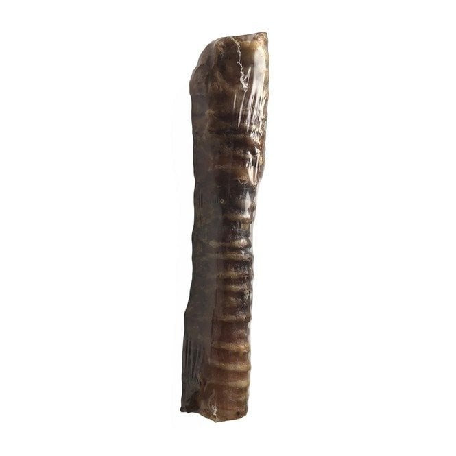 hollings large beef trachea p1156 4345 medium