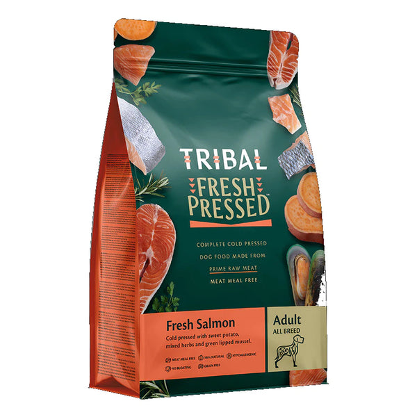 tribal adult salmon1